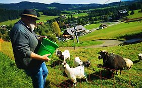 Ferienhaus Ferienpark Gaal  Österreich